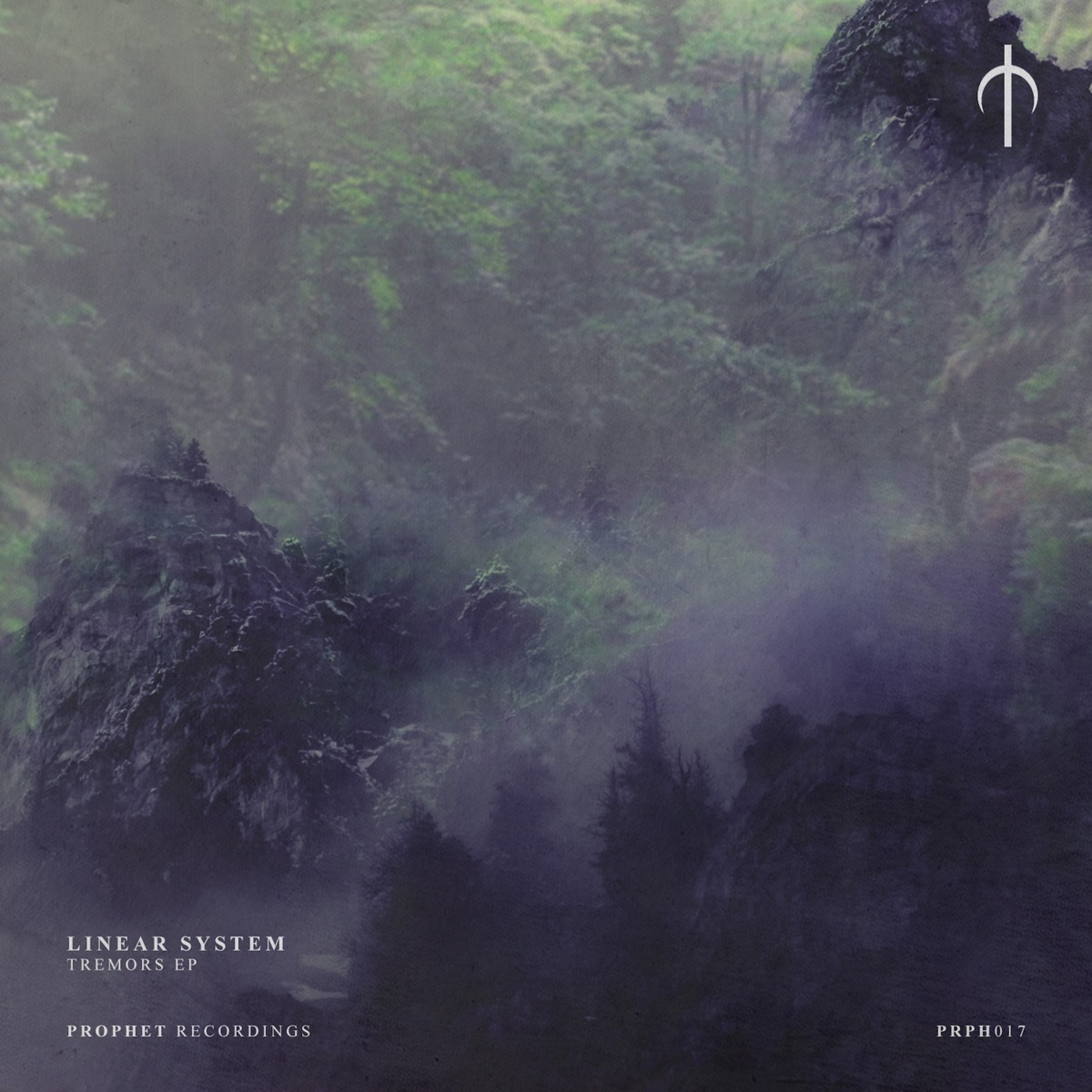 Tremors by Linear System album cover