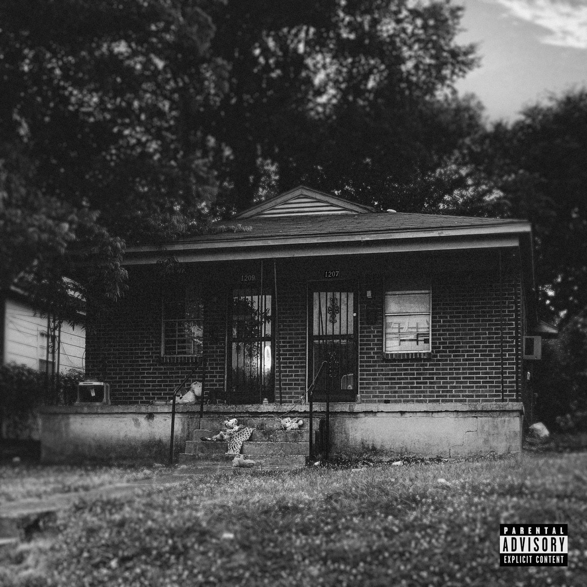 1207 James St. by Don Trip album cover