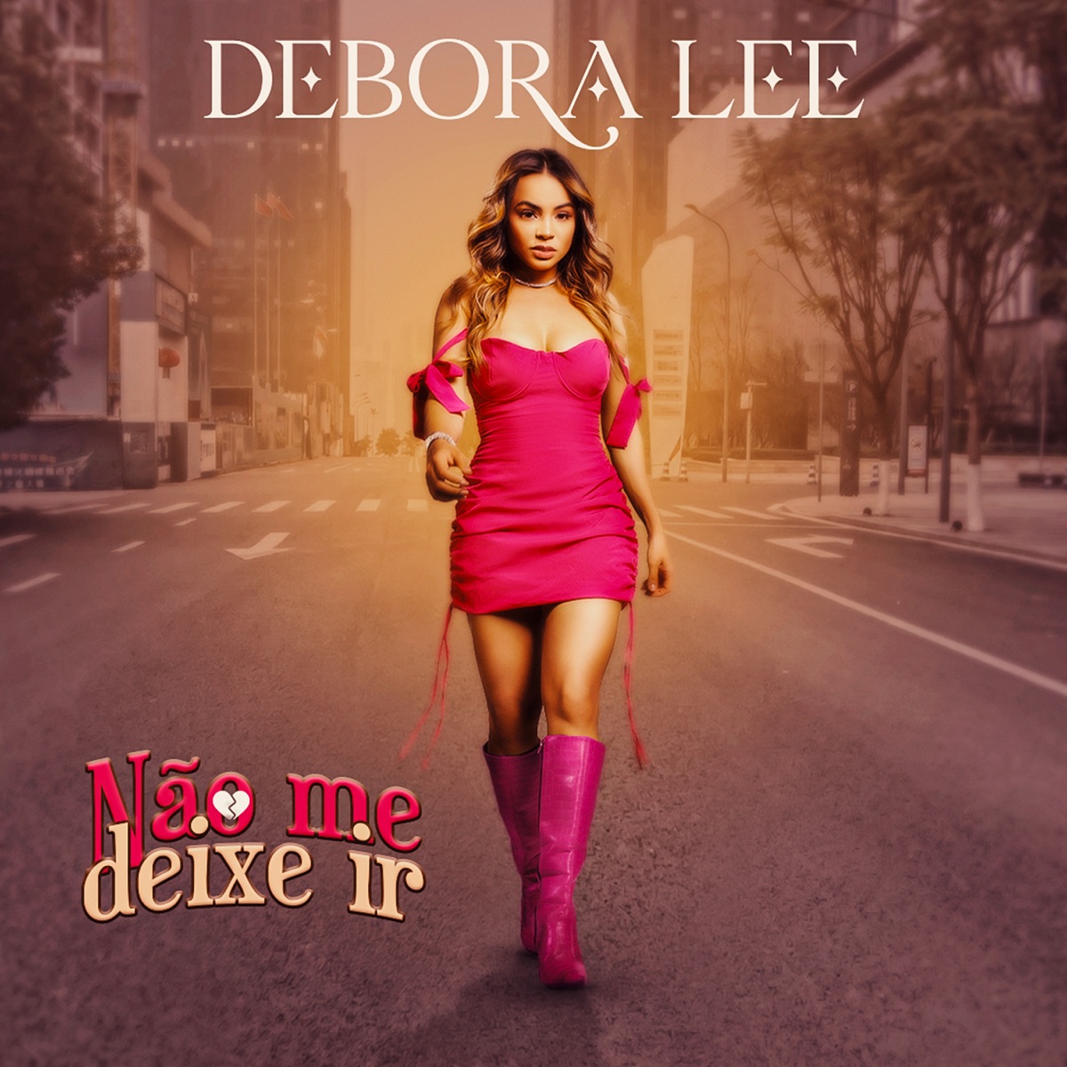 Não Me Deixe Ir - Single by Debora Lee album cover