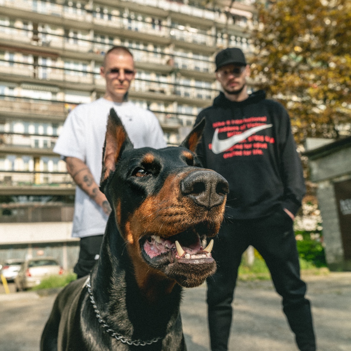 ŚMIECI WYWÓZ (feat. Zeju POG) - Single by Tromba & Kiwi KRK album cover