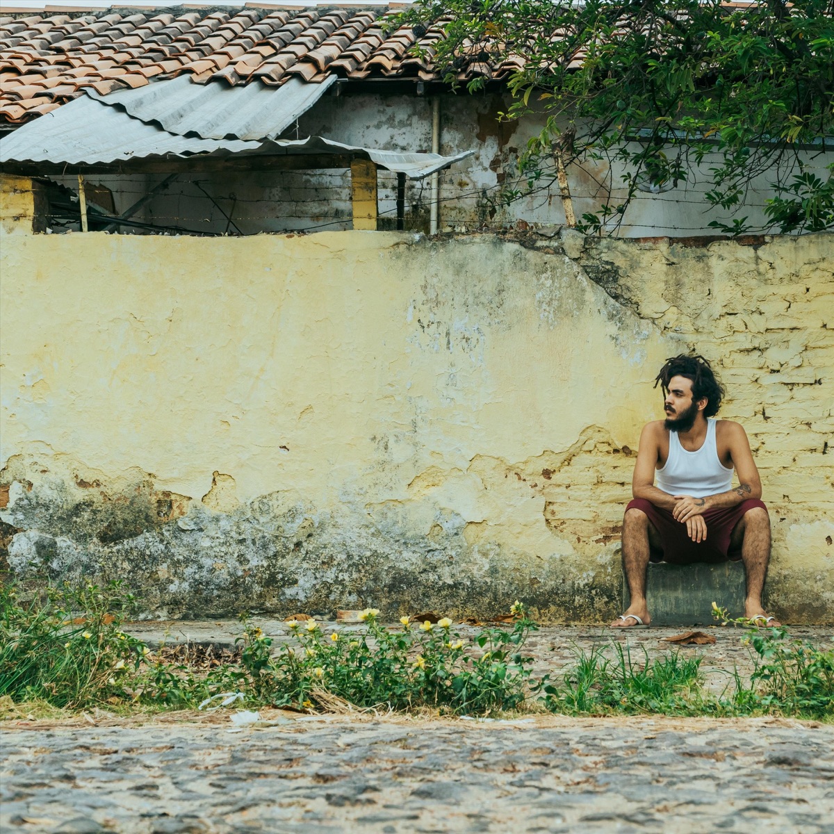 Brasilo Feng Shui - Single by Logan Rf album cover