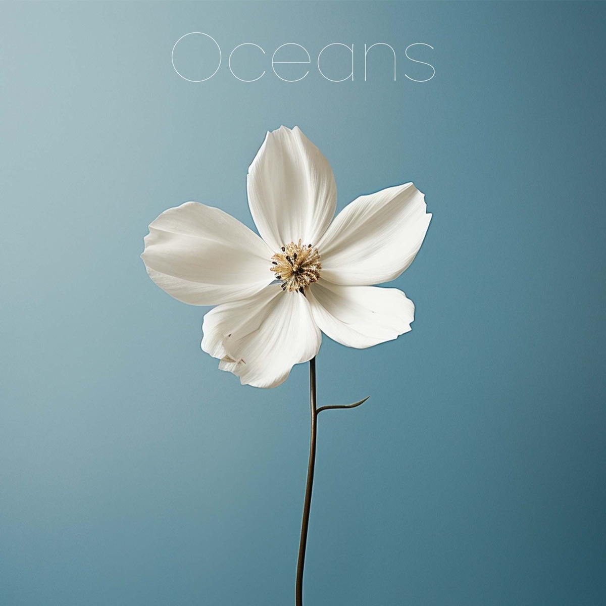 Oceans (Where Feet May Fail) - Single by Anthem Worship, Genavieve Linkowski & Mass Anthem album cover
