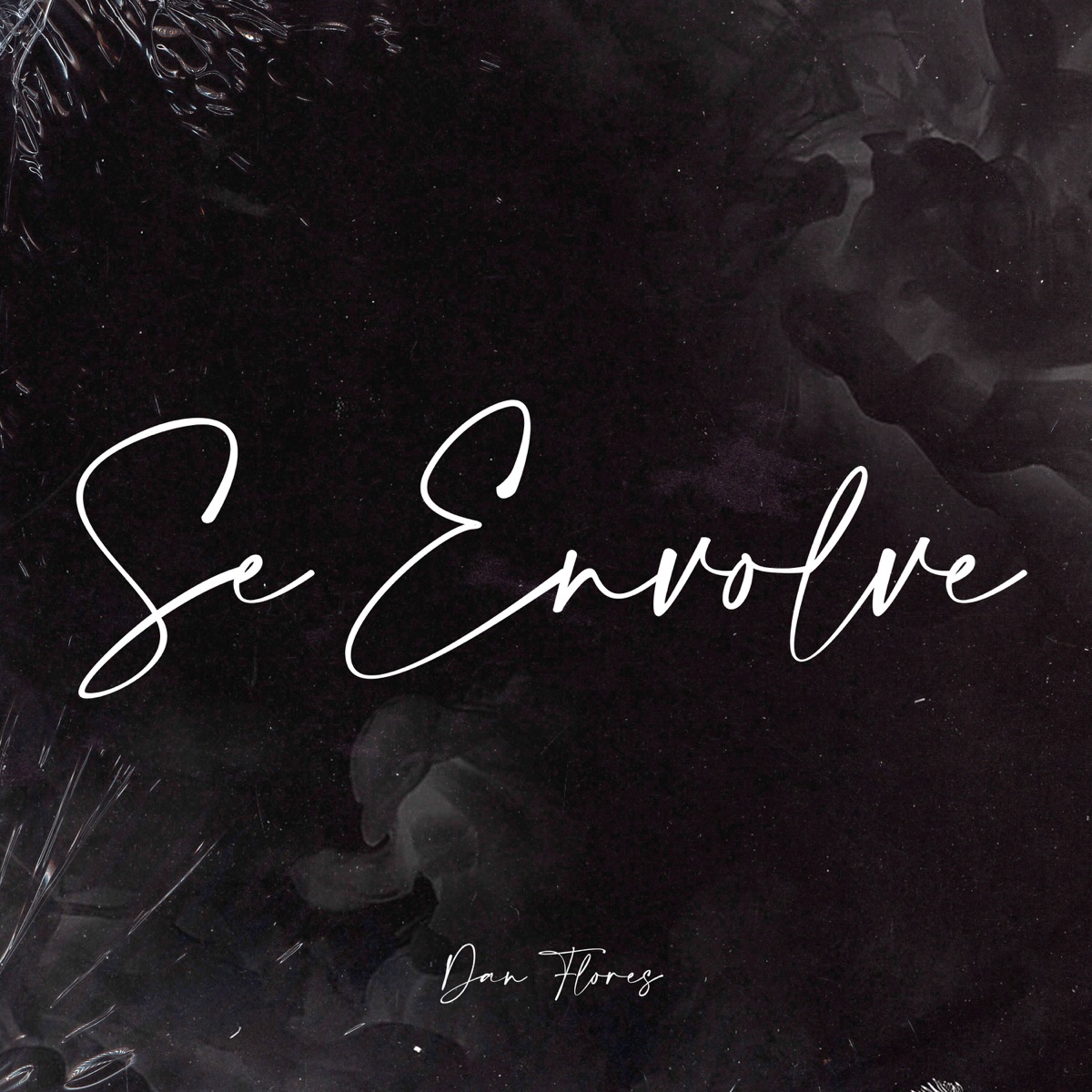 Se Envolve (feat. Gree Cassua) - Single by Dan Flores album cover