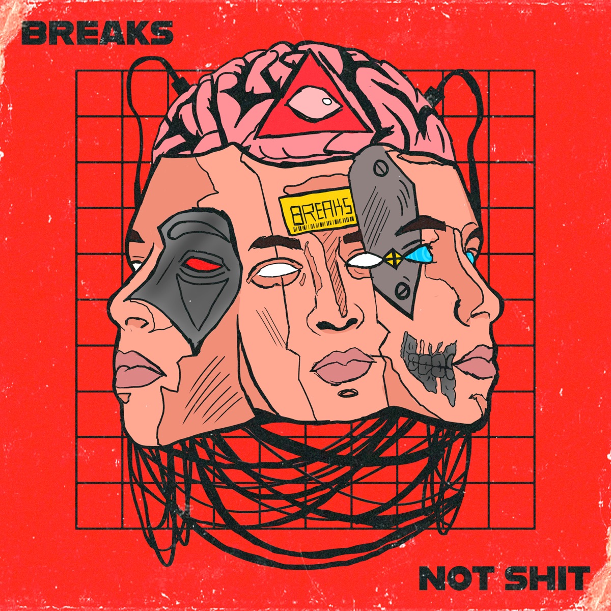 Not Shit - Single by Breaks Music album cover