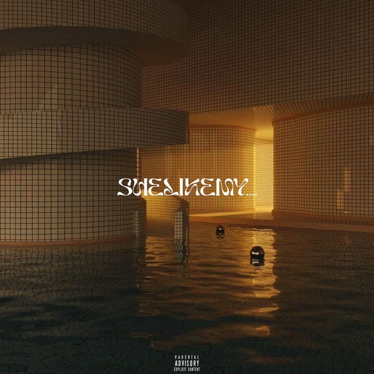 Shelikemy.... - Single by Anxious, Moksh Vibe & YxvngTrey album cover