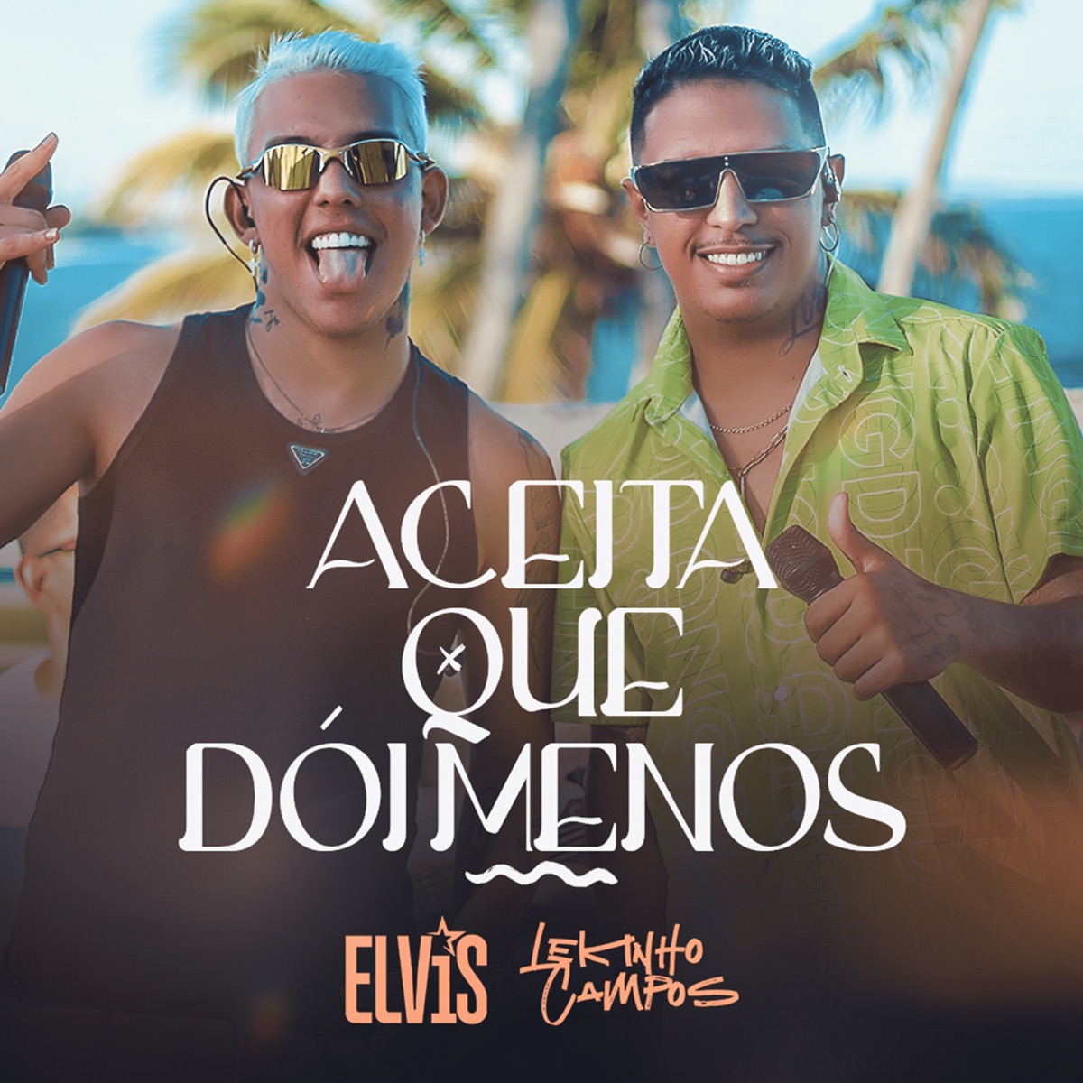 Aceita Que Dói Menos - Single by Lekinho Campos & Mc Elvis album cover