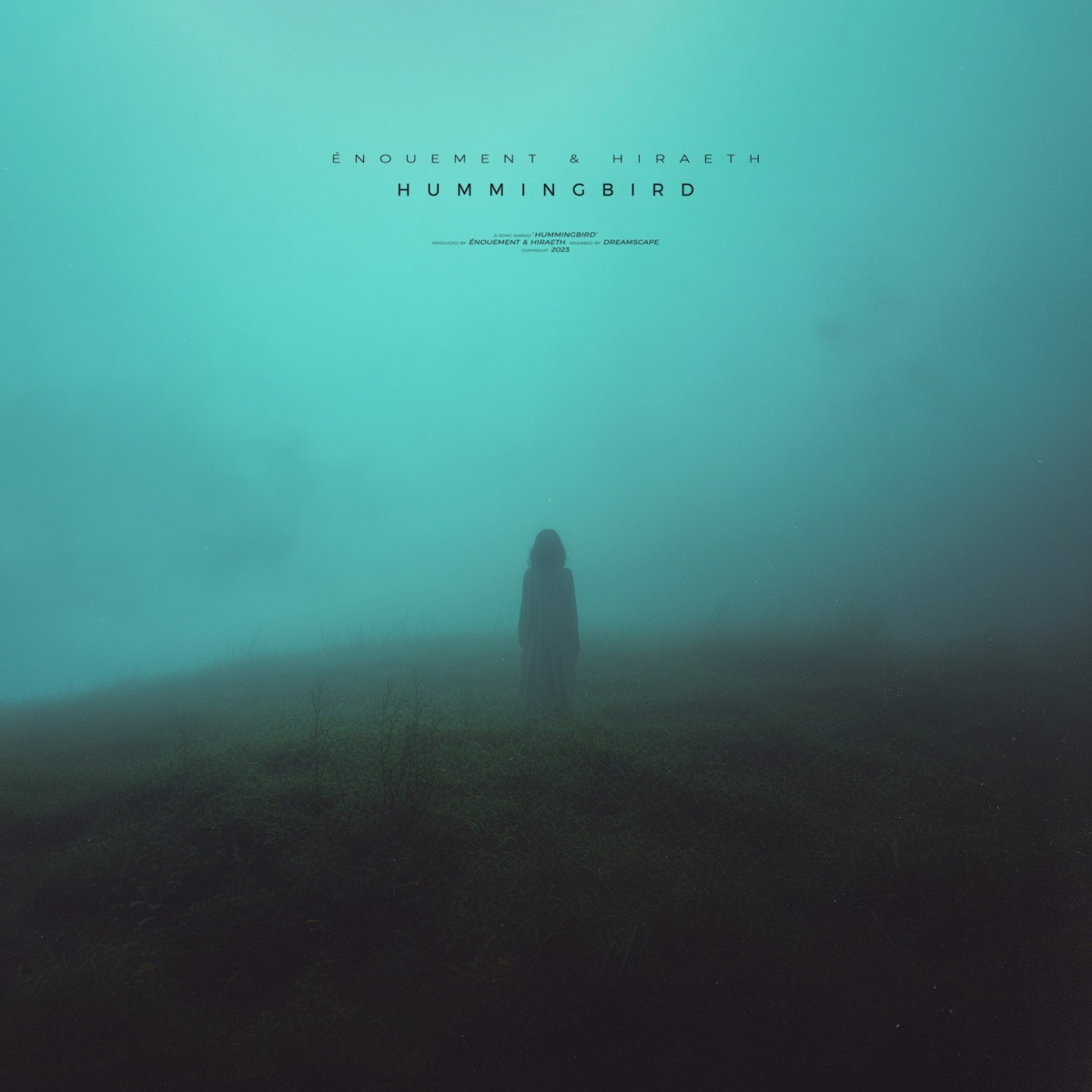 Hummingbird - Single by énouement & ‎hiræth album cover
