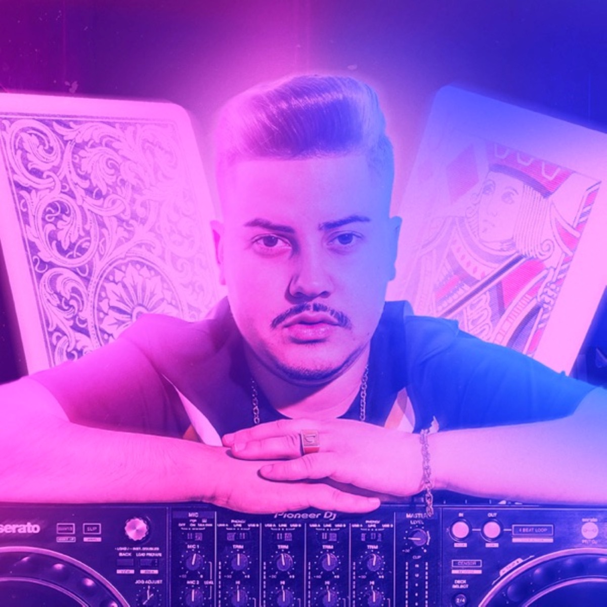 Não Me Leva a Mal (feat. Mc Kitinho & MC Denny) - Single by MC GW, DJ Danzin & Dj Will Canalha album cover