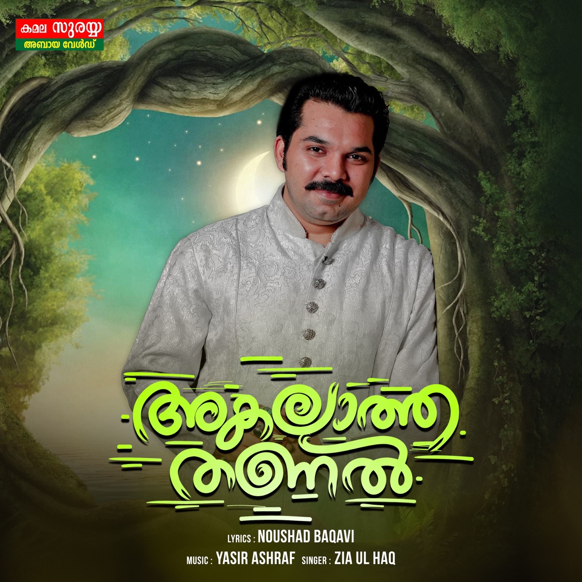 Akalatha Thanal - Single by Zia Ul Haq album cover