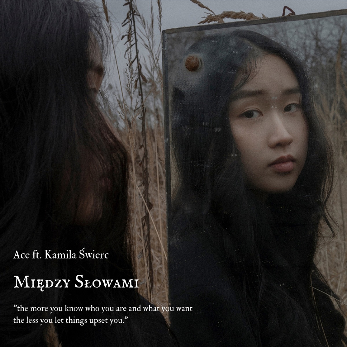 Między słowami - Single by Ace Dean, Kamila Świerc & DRUID album cover