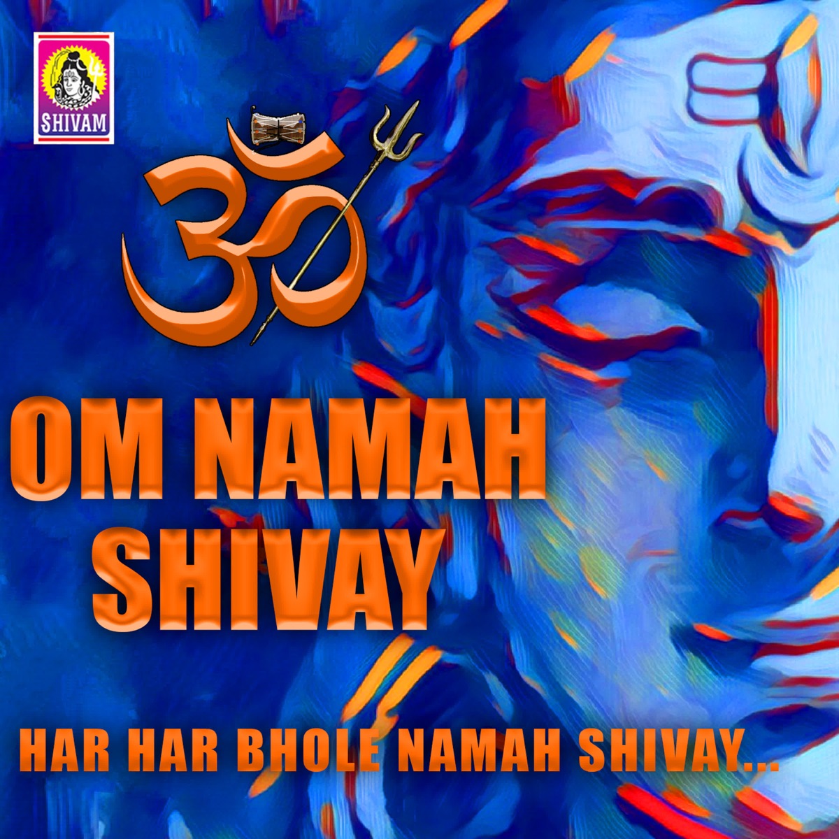 Om Namah Shivay Dhun - EP by Vijay Parmar album cover