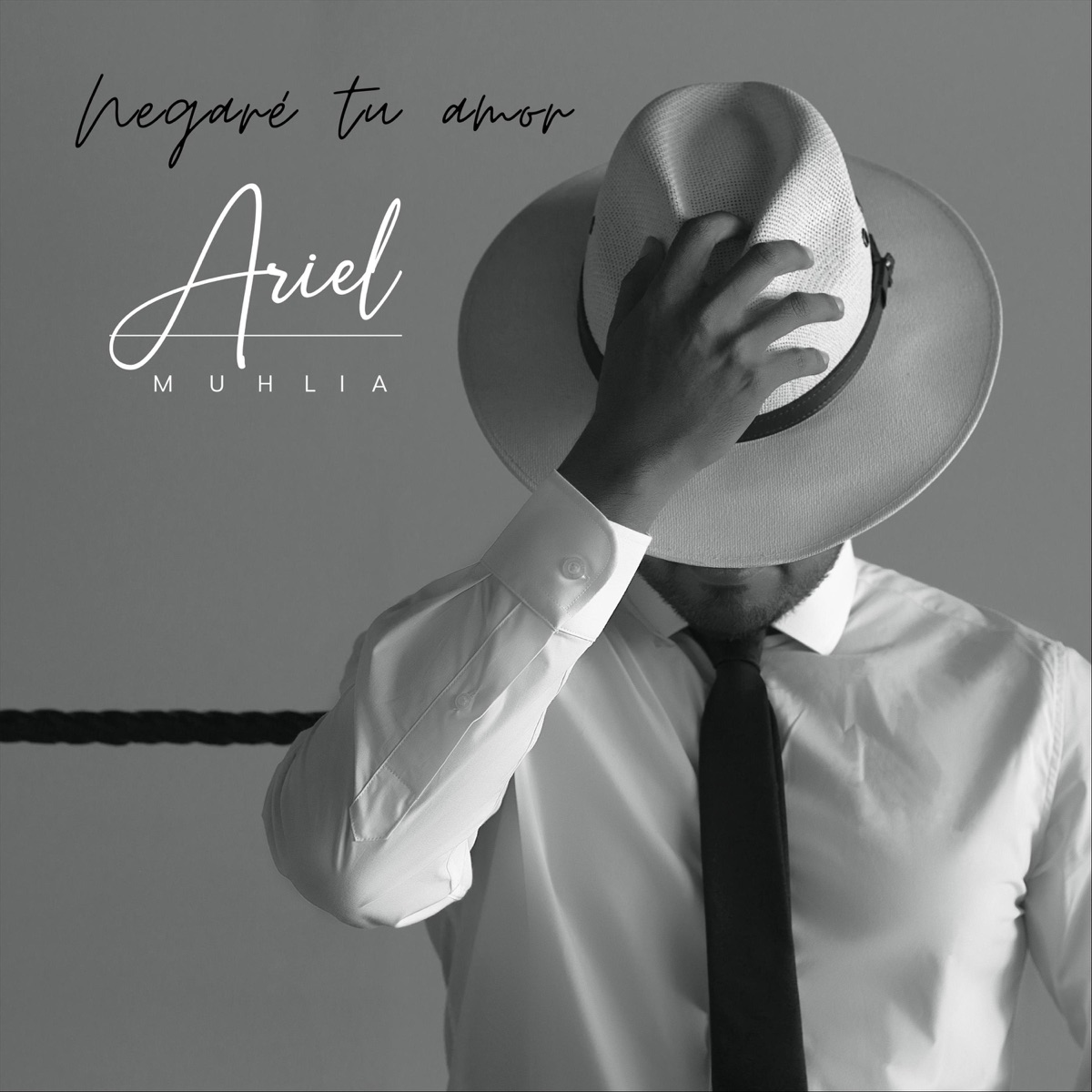 Negaré Tu Amor - Single by Ariel Muhlia album cover