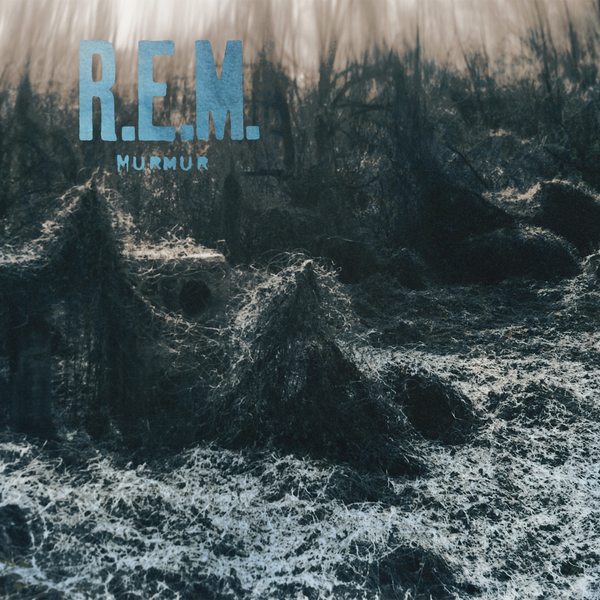 Murmur by R.E.M. album cover