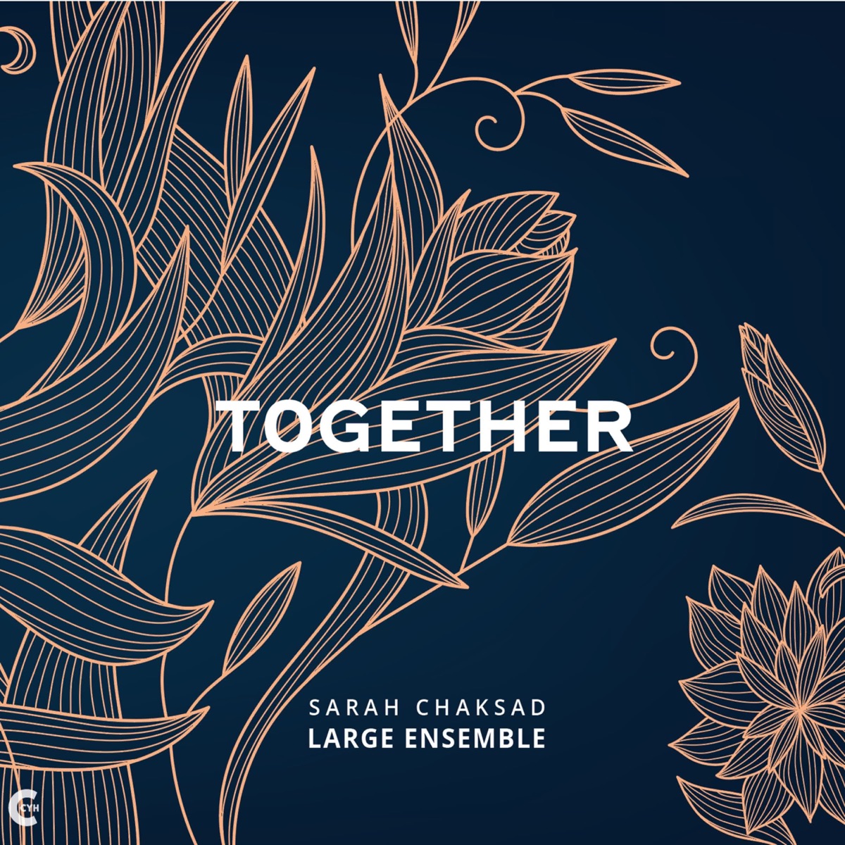 Love Letters (feat. Yumi Ito, Christoph Bösch, Fabian Willmann, Catherine Delaunay, Hildegunn Øiseth, Paco Andréo, Lukas Wyss, Sophia Nidecker, Julia Hülsmann, Fabio Gouvea, Dominique Girod & Eva Klesse) - Single by Sarah Chaksad album cover