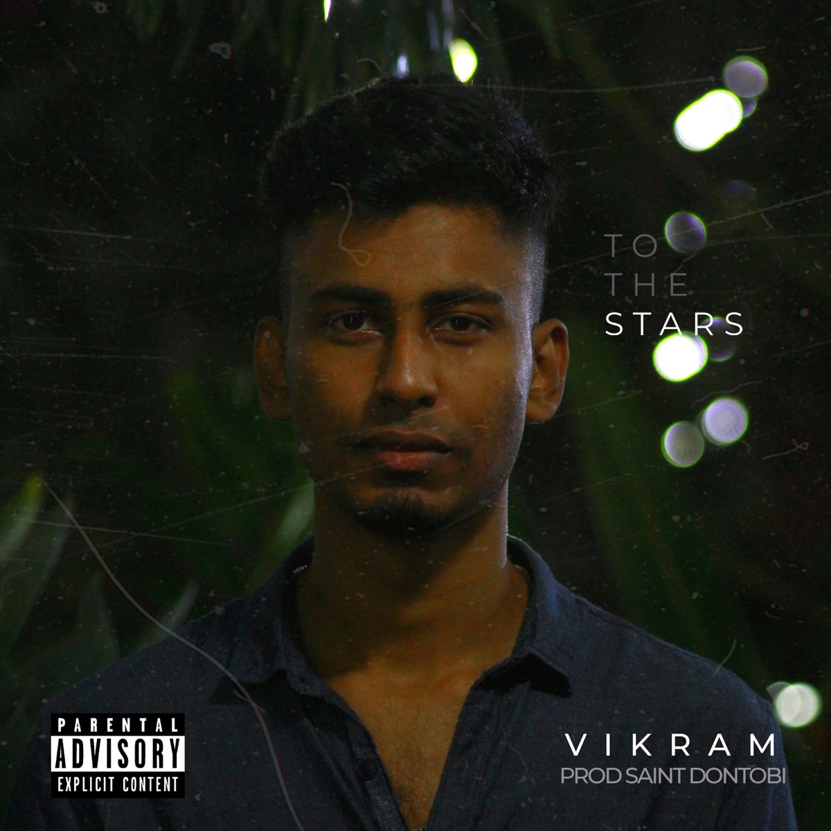 To the Stars - Single by V I K R A M album cover