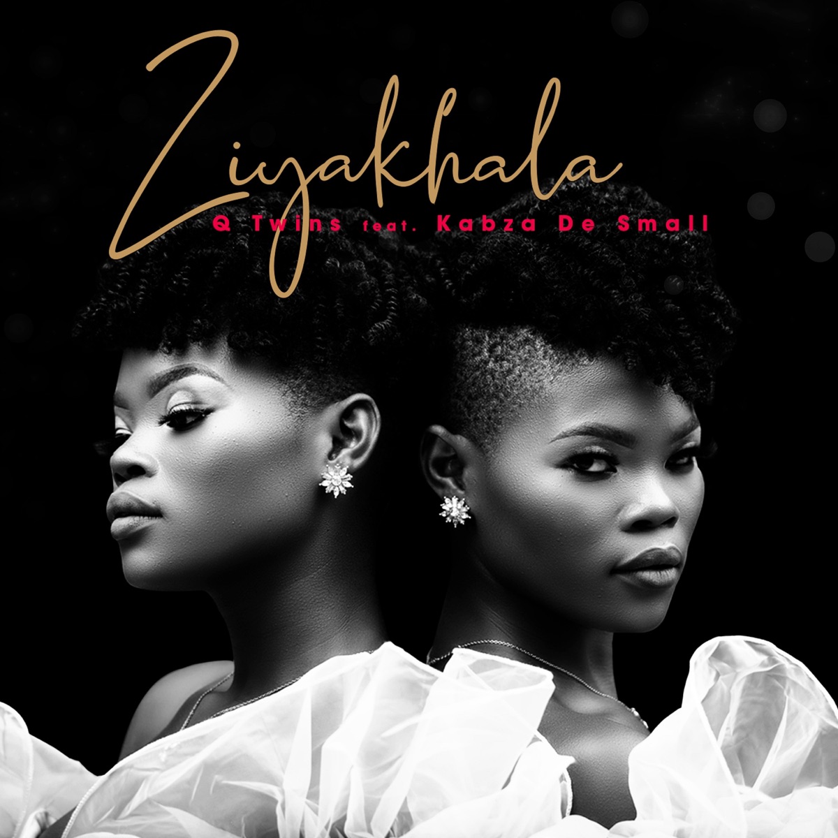 Ziyakhala (feat. Kabza De Small) - Single by Q Twins album cover