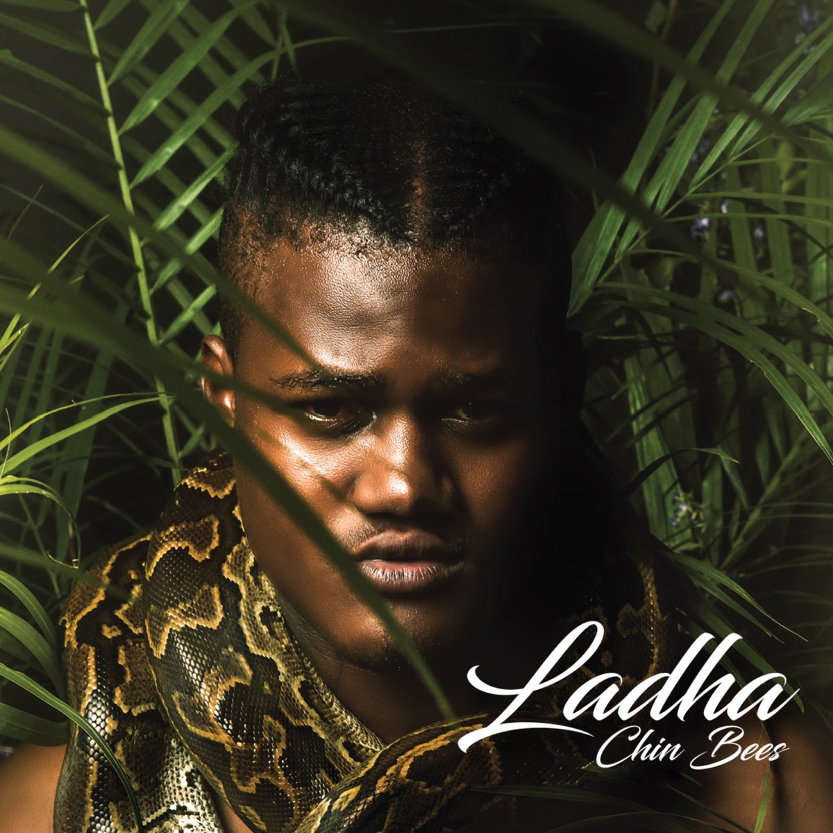 Ladha by Chin Bees album cover