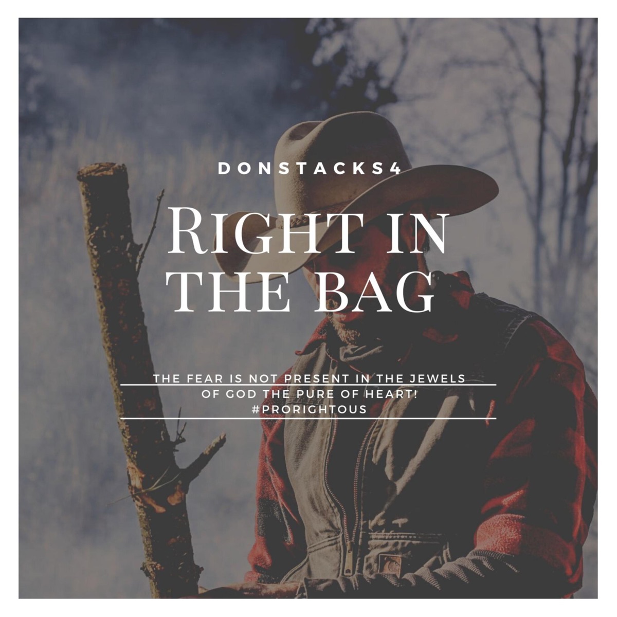 Right In the Bag - Single by DonStacks4 album cover