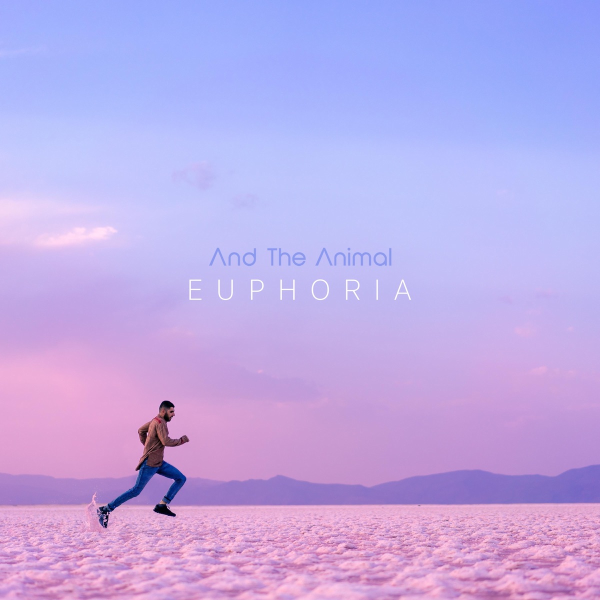Euphoria - Single by And the Animal album cover