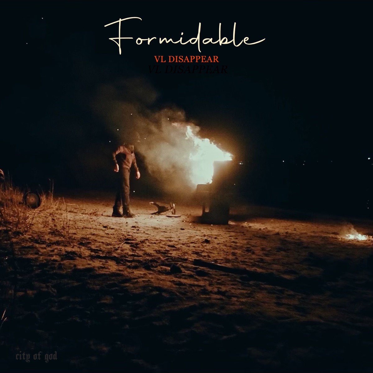 Formidable - Single by VL Disappear album cover