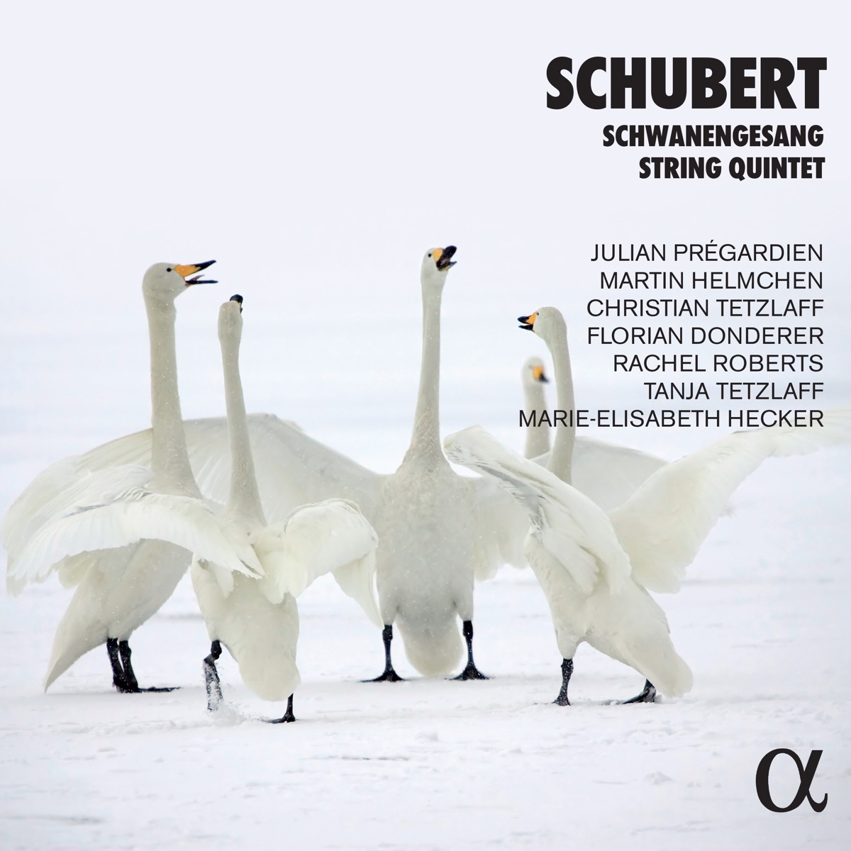 Schubert: Schwanengesang & String Quintet by Julian Prégardien, Martin Helmchen & Christian Tetzlaff album cover