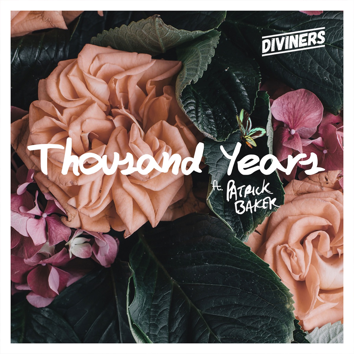 Thousand Years (feat. Patrick Baker) - Single by Diviners album cover