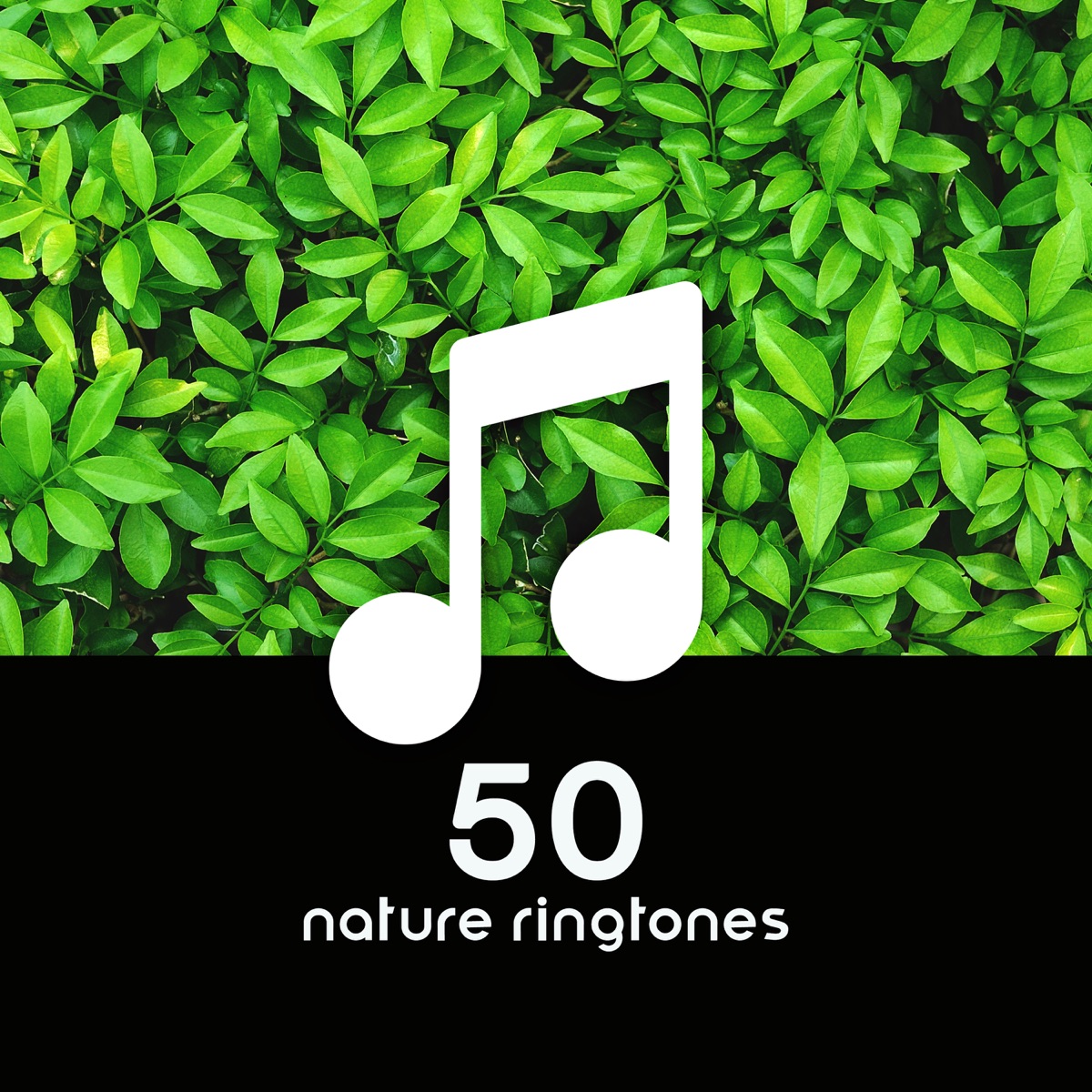 50 Nature Ringtones: Soothing Alarm Tone & Ocean Waves, Rain, Singing Birds, River by Sound Effects Zone album cover