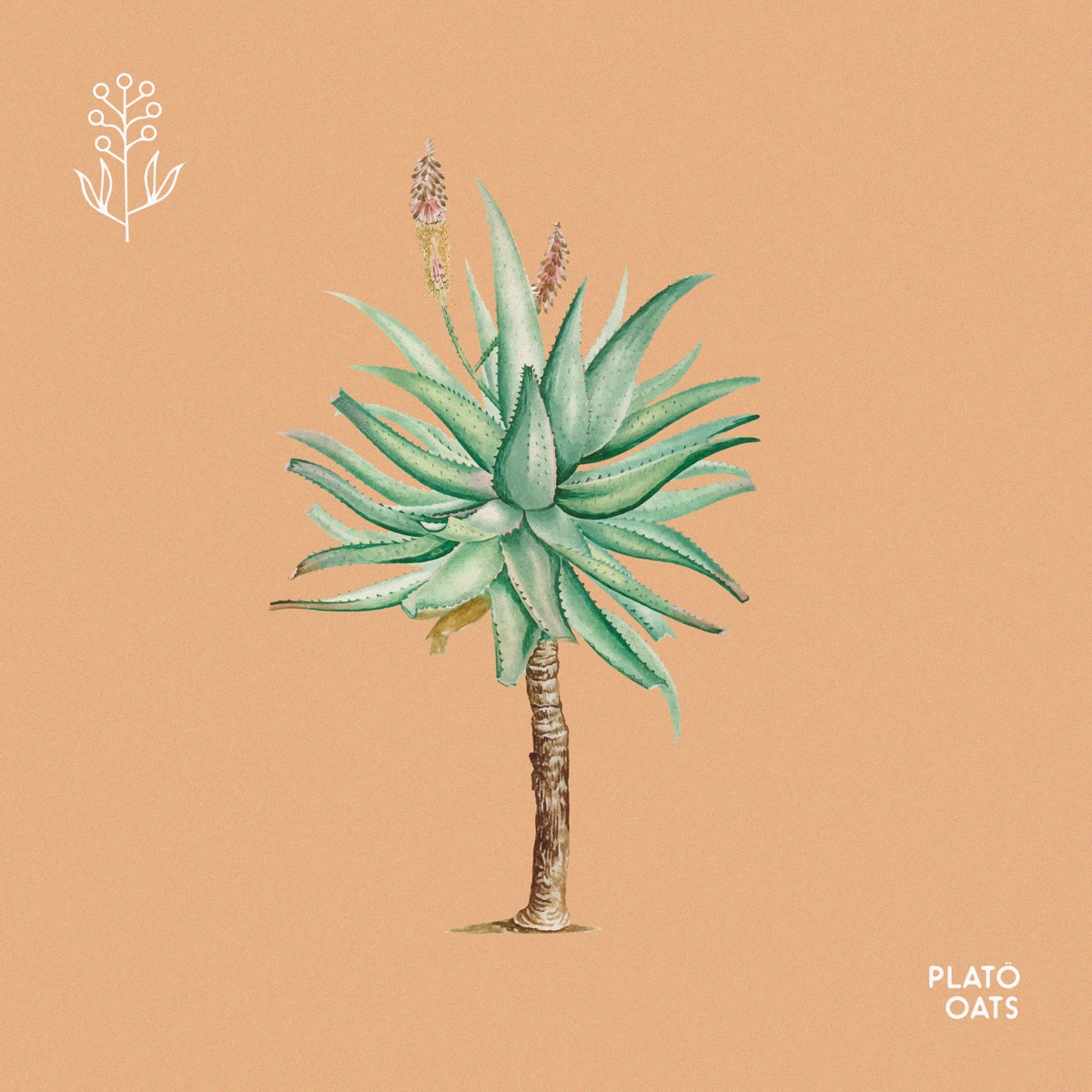 Oats - Single by platö & Botânica Beats album cover