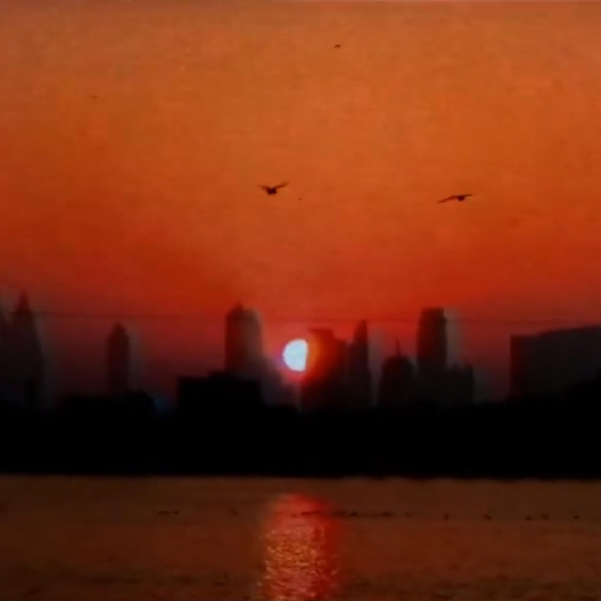 Sunset Bay by Robbgikma album cover