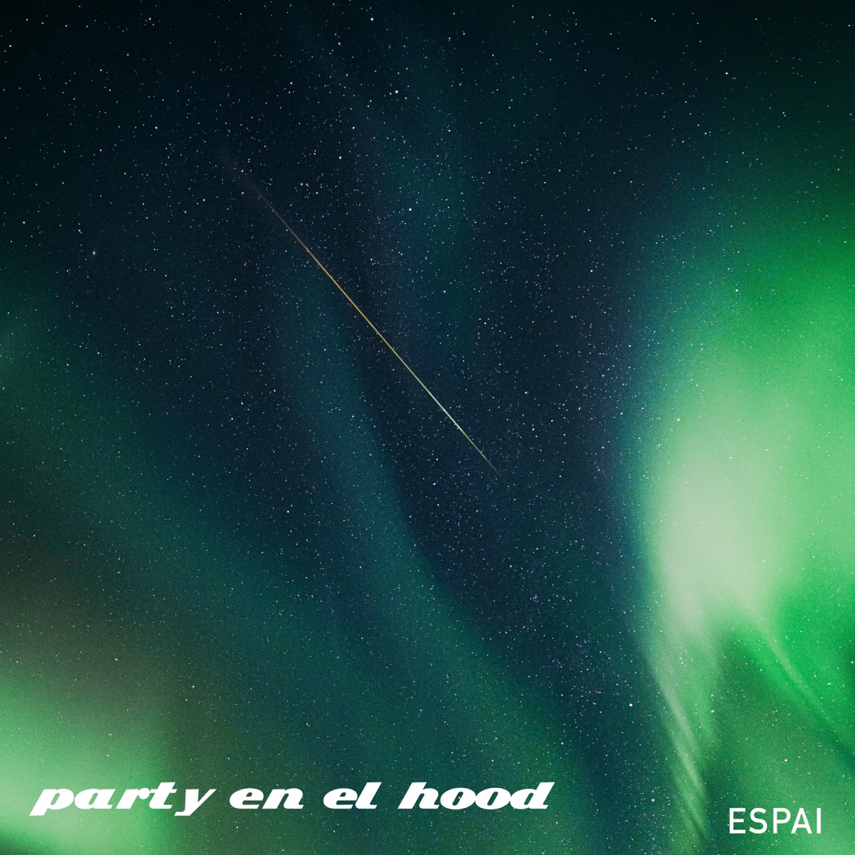 Party en el Hood - Single by ESPAI & PALOU FLOWS album cover