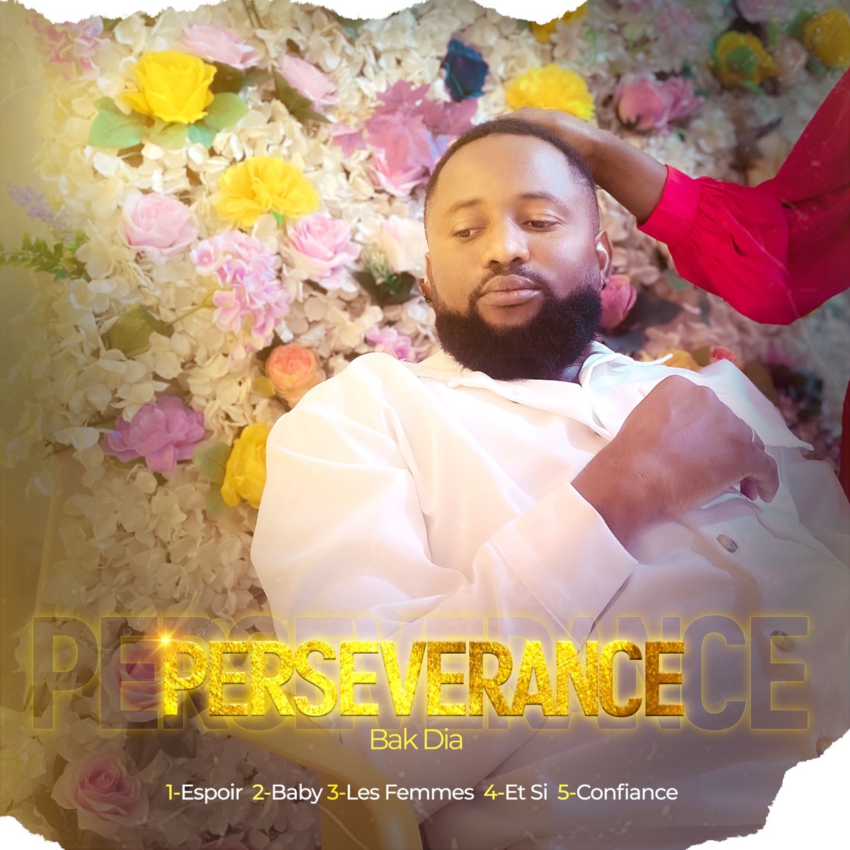 Perseverance - EP by BAK DIA album cover