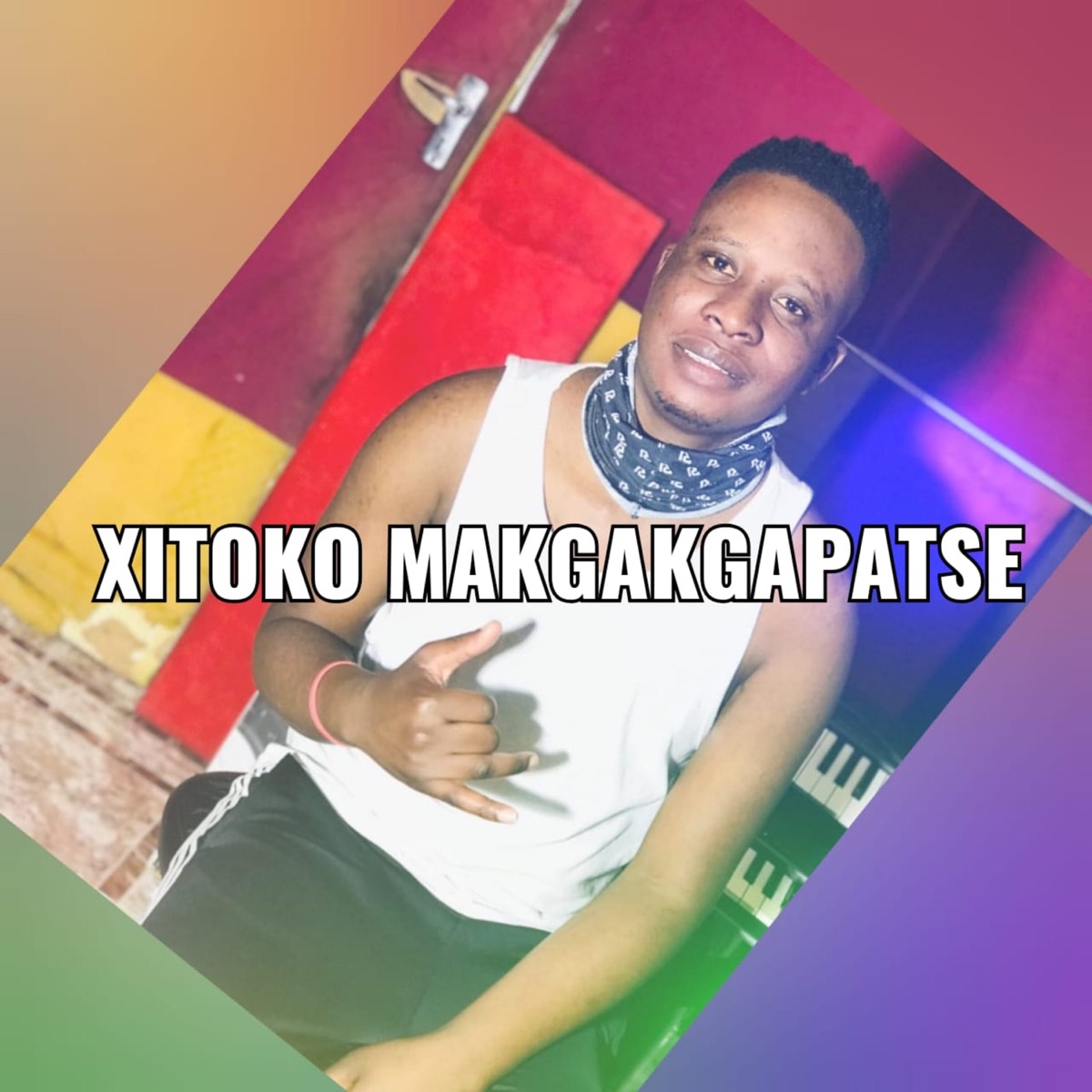 Xitoko Makgakgapatse (feat. Tihosi Ta Mindzhumbha) - Single by Salani the producer & DJ Nghundla album cover