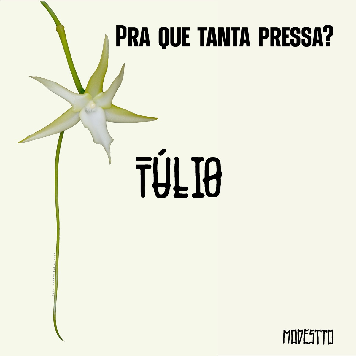 Pra Que Tanta Pressa - Single by Túlio Fernandes & Modestto album cover