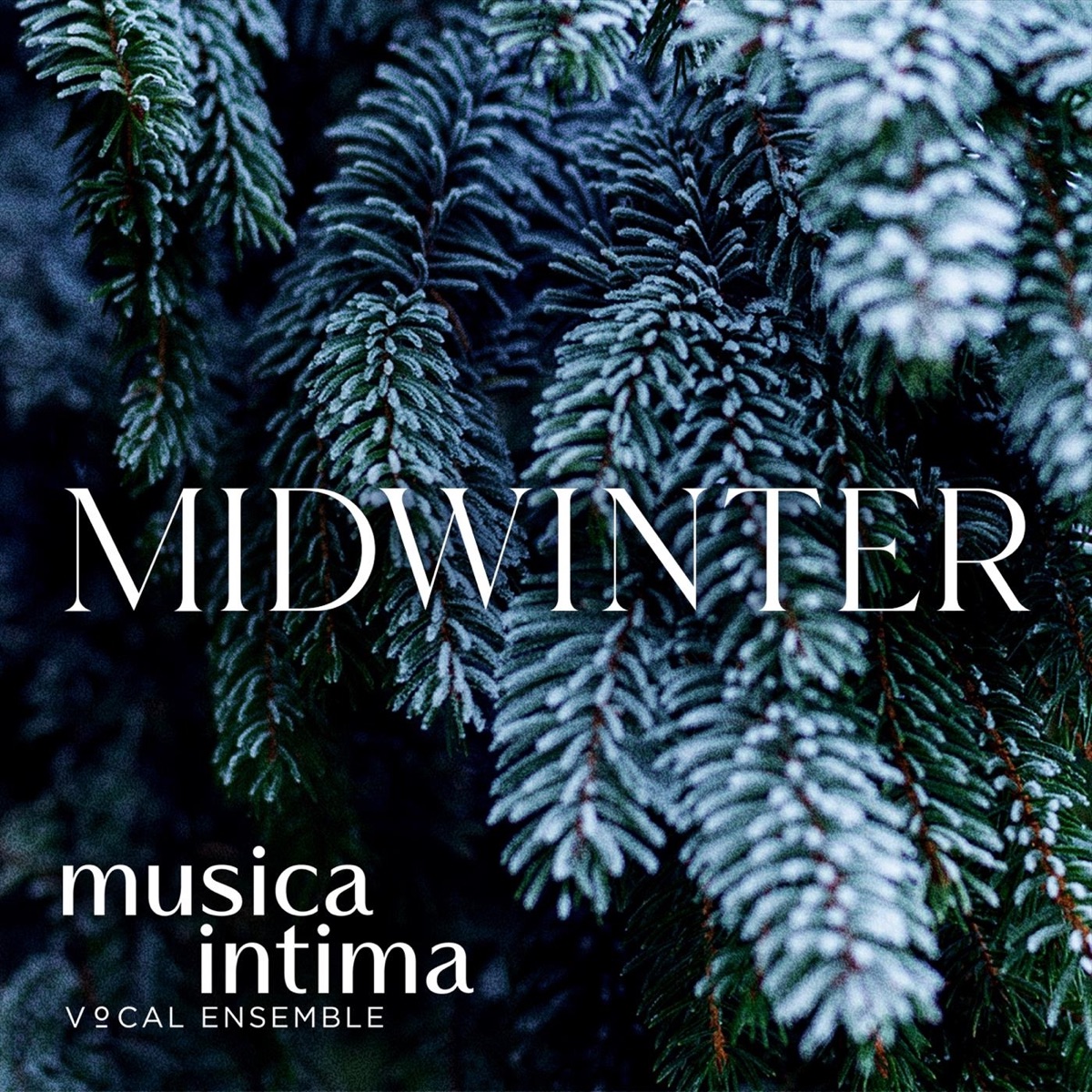 Midwinter - EP by musica intima album cover