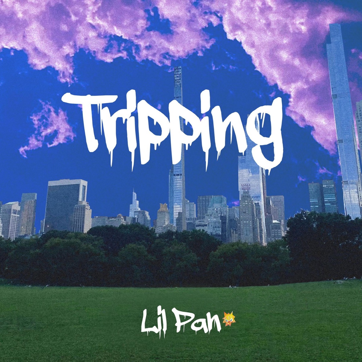 Tripping - Single by Lil Pan album cover