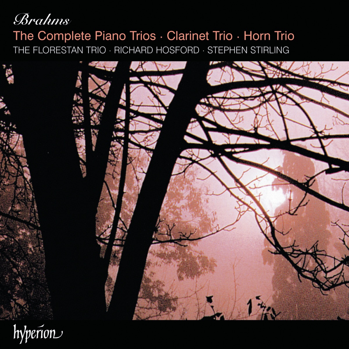 Brahms: Piano Trios 1-3, Clarinet Trio & Horn Trio by The Florestan Trio, Stephen Stirling & Richard Hosford album cover