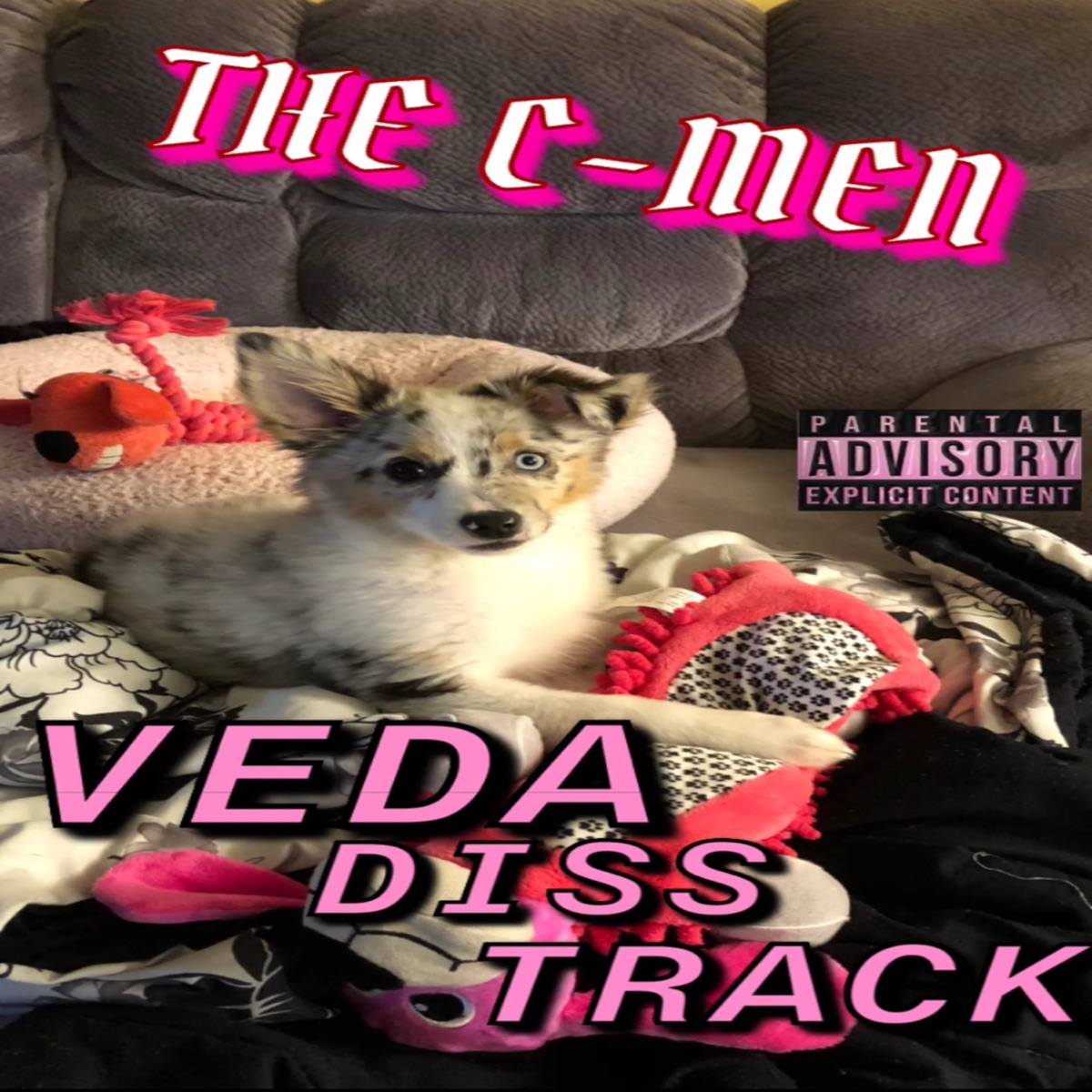 Veda Diss Track - Single by The C-Men & Amish Aidz album cover