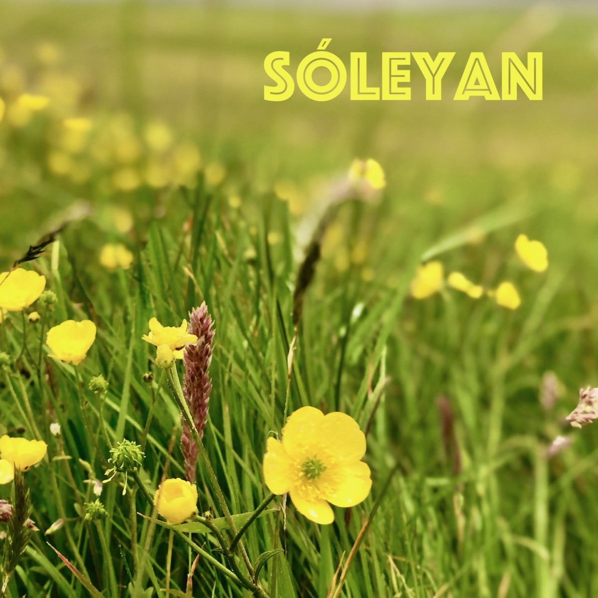 Sóleyan - Single by Tórshavnar Manskór, The City of Prague Philharmonic Orchestra, Elin Brimheim Heinesen & Adam Klemens album cover