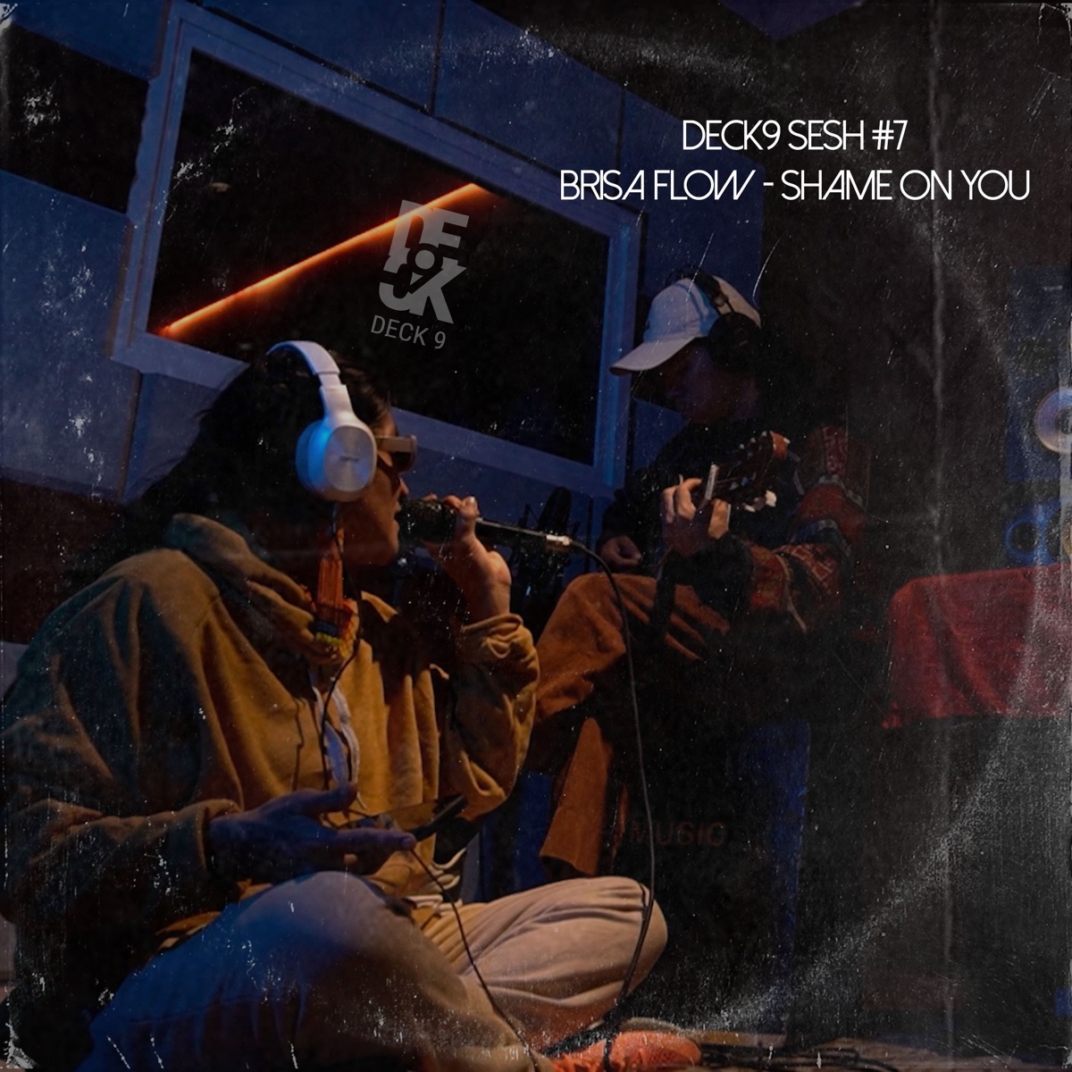 Sesh #7 - Shame on You (feat. BADSISTA & IAN WAPICHANA) - Single by Brisa Flow album cover