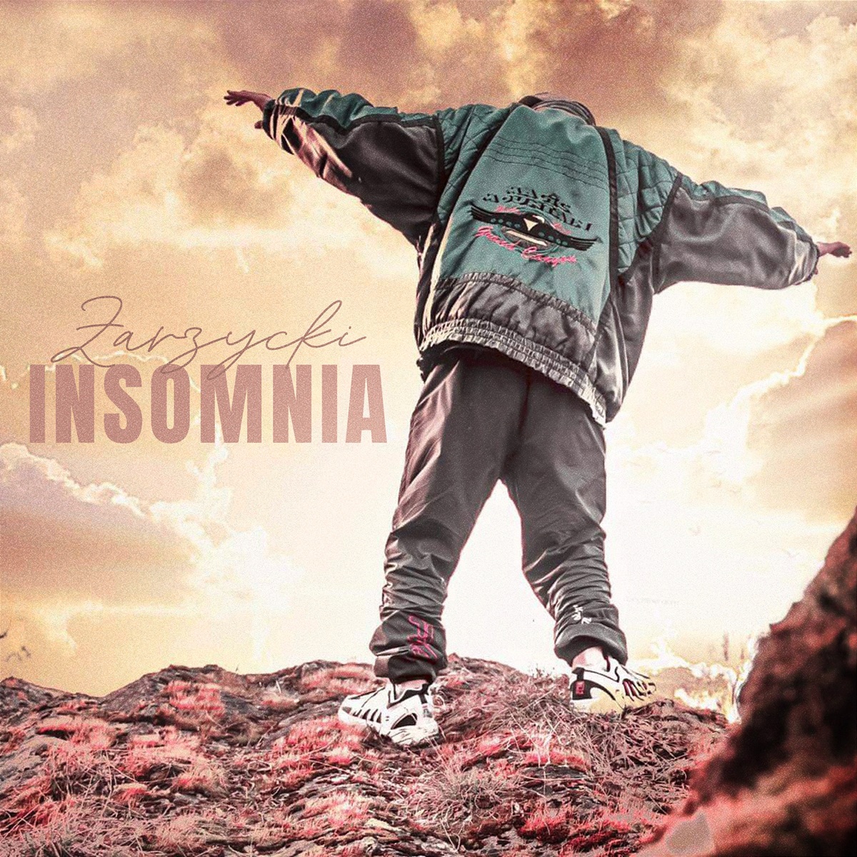 Insomia - Single by Zarzycki album cover