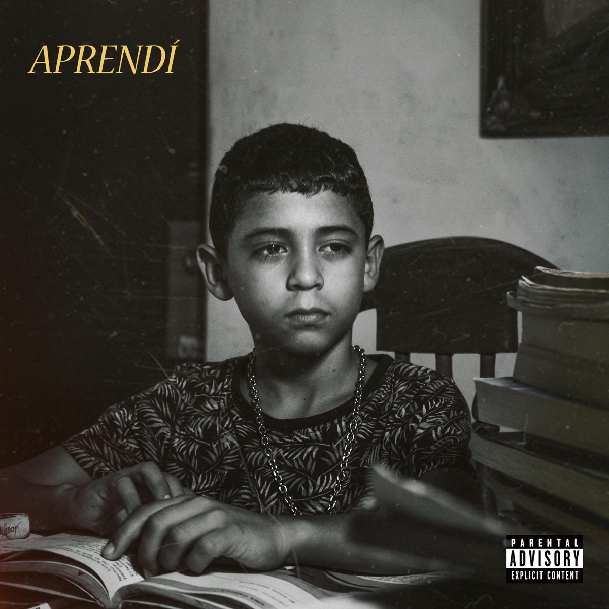 Aprendí - Single by El varo real album cover
