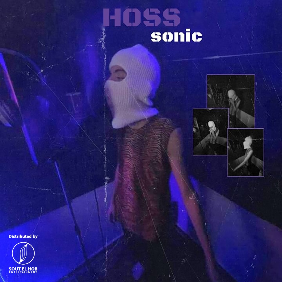 Hoss - Single by Sonic album cover