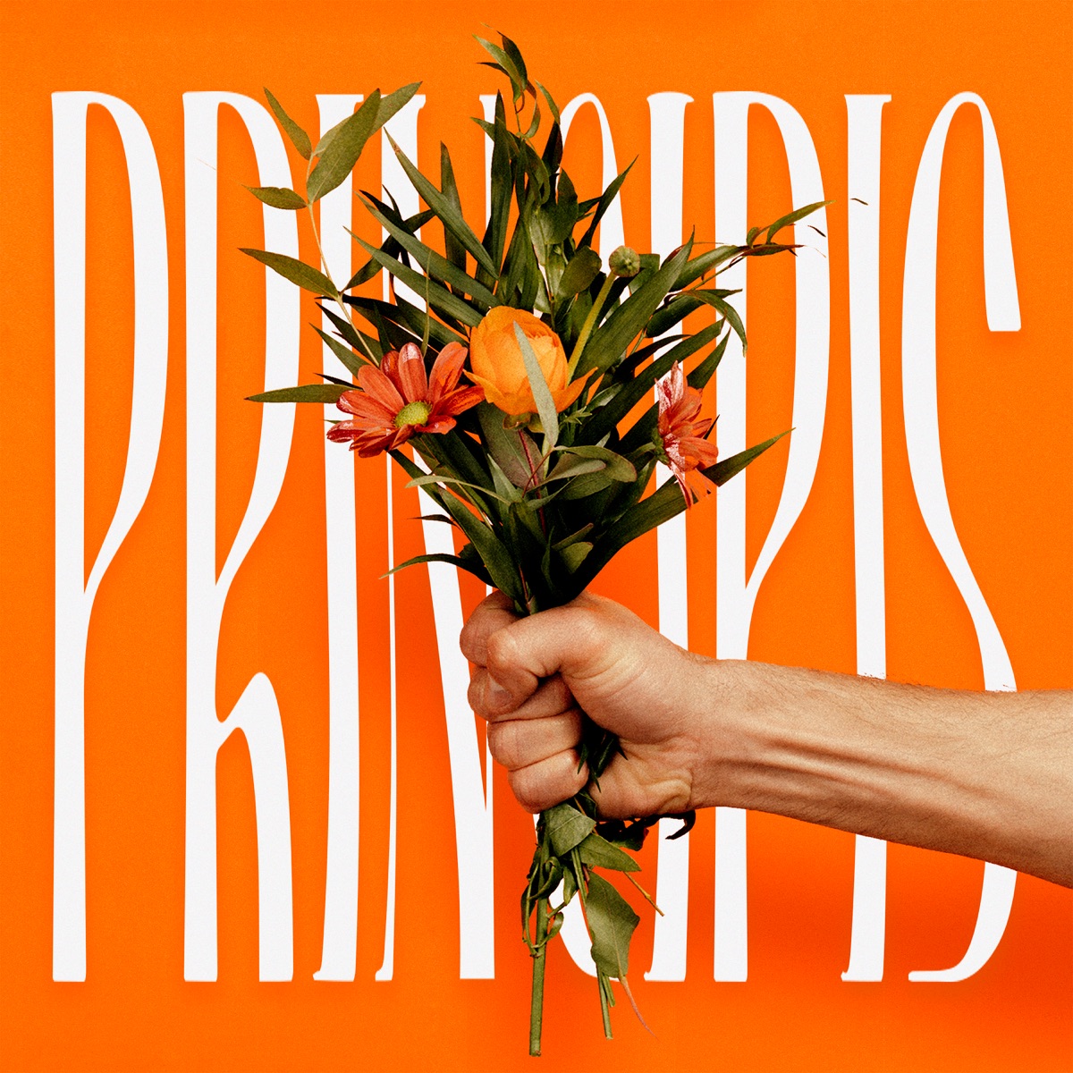 PRINCIPIS - Single by La Fúmiga album cover