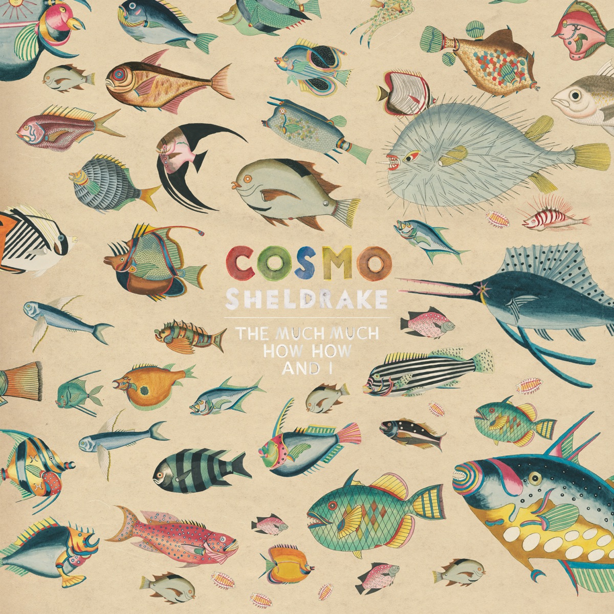 The Much Much How How and I by Cosmo Sheldrake album cover