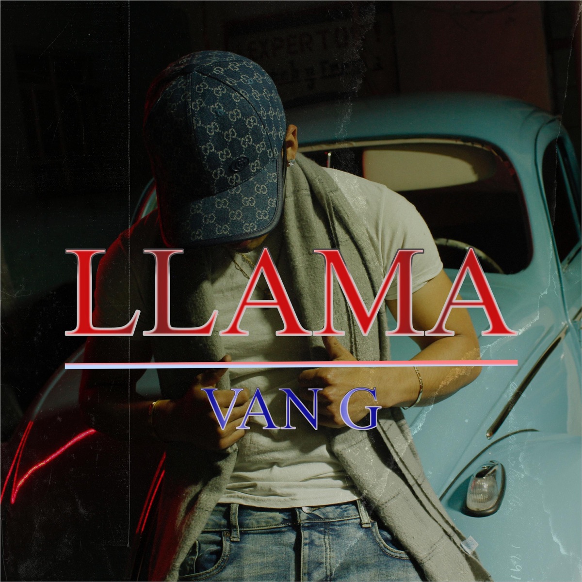 LLAMA - Single by VAN_G album cover