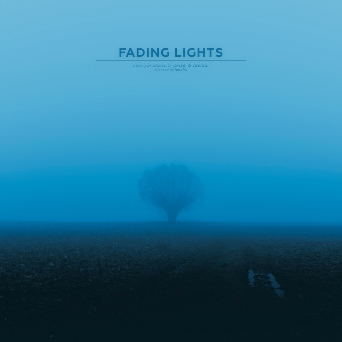Fading Lights - Single by pxlse. & cosluar album cover