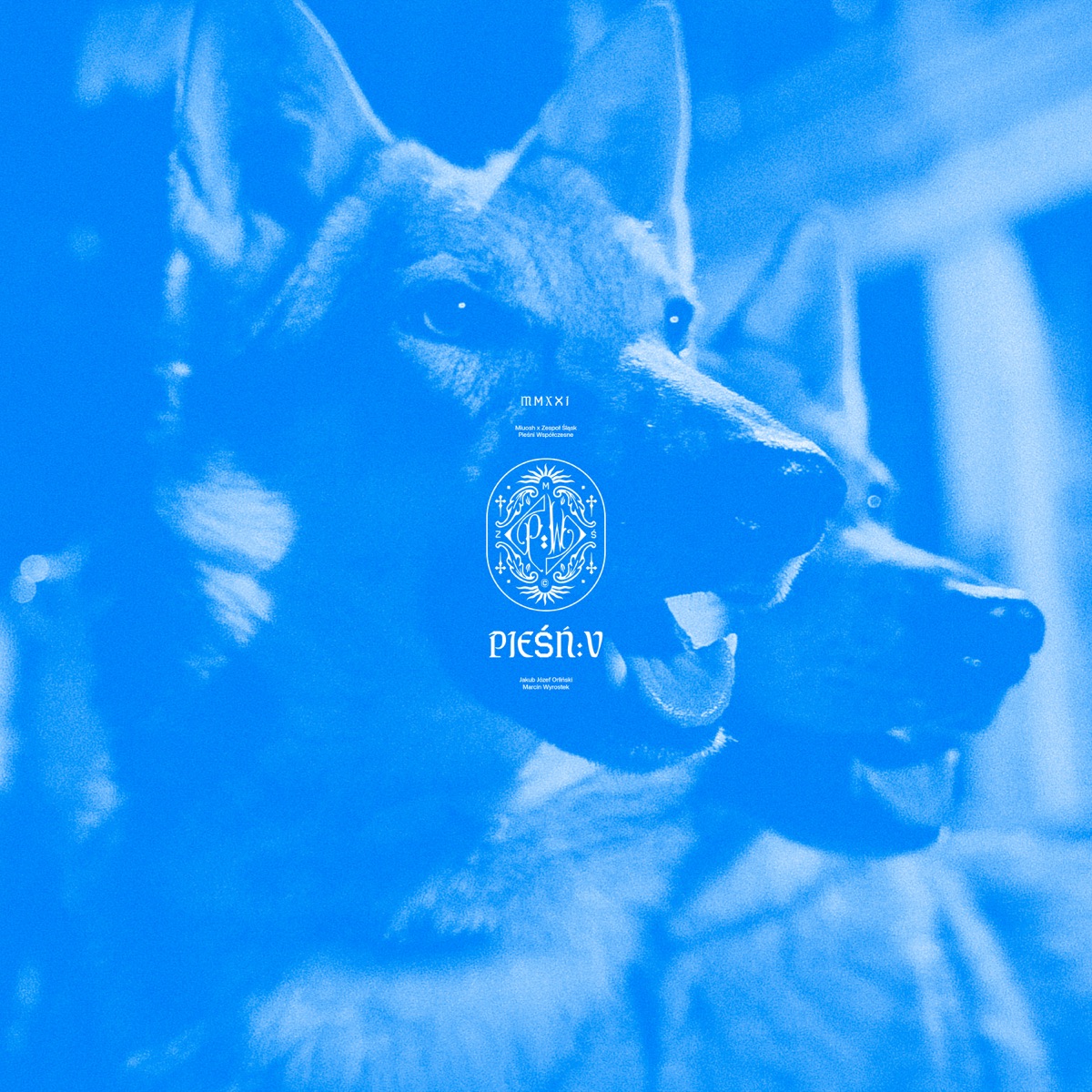 Doliny - Single by Miuosh, Slask, Jakub Józef Orliński & Marcin Wyrostek album cover