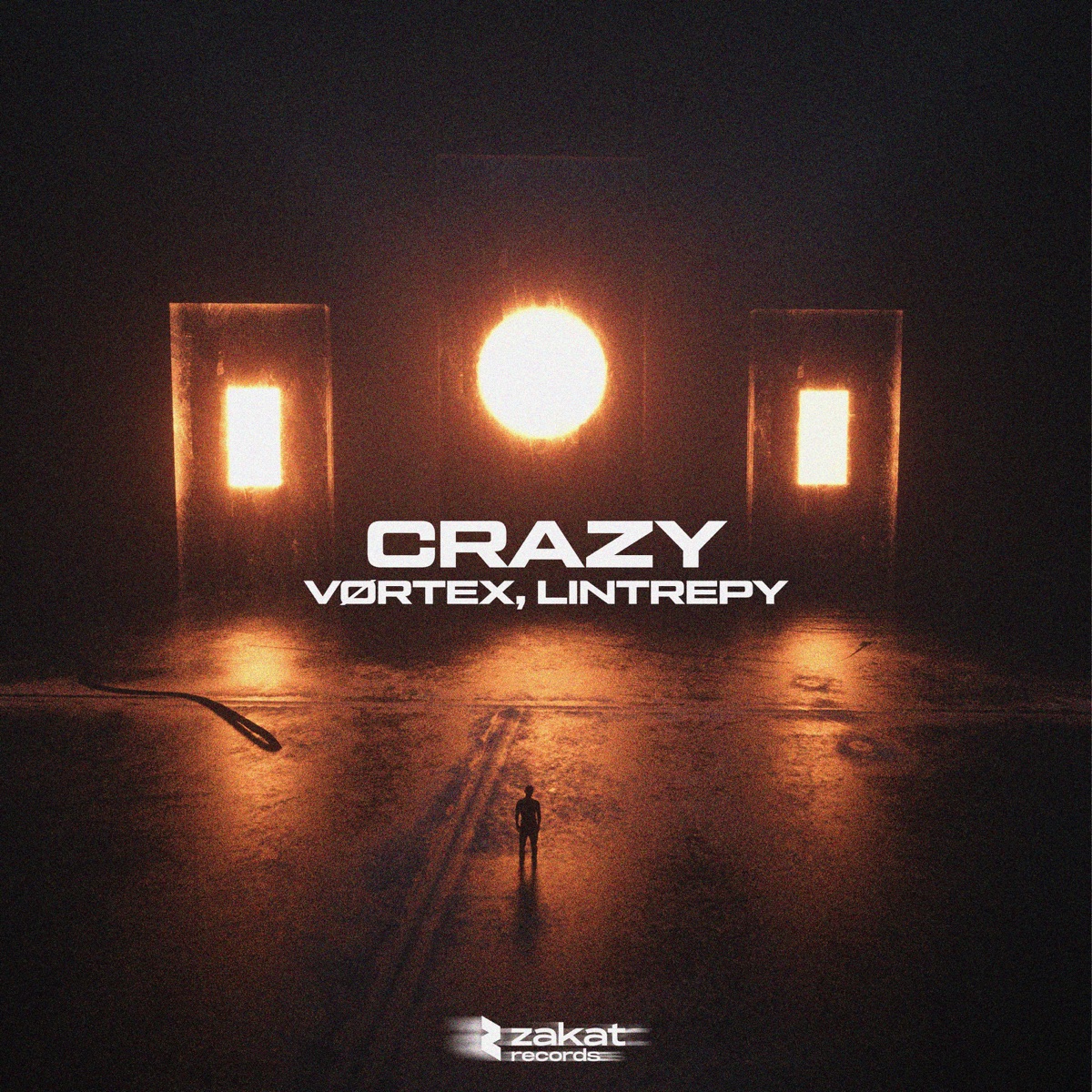 Crazy - Single by VØRTEX & Lintrepy album cover