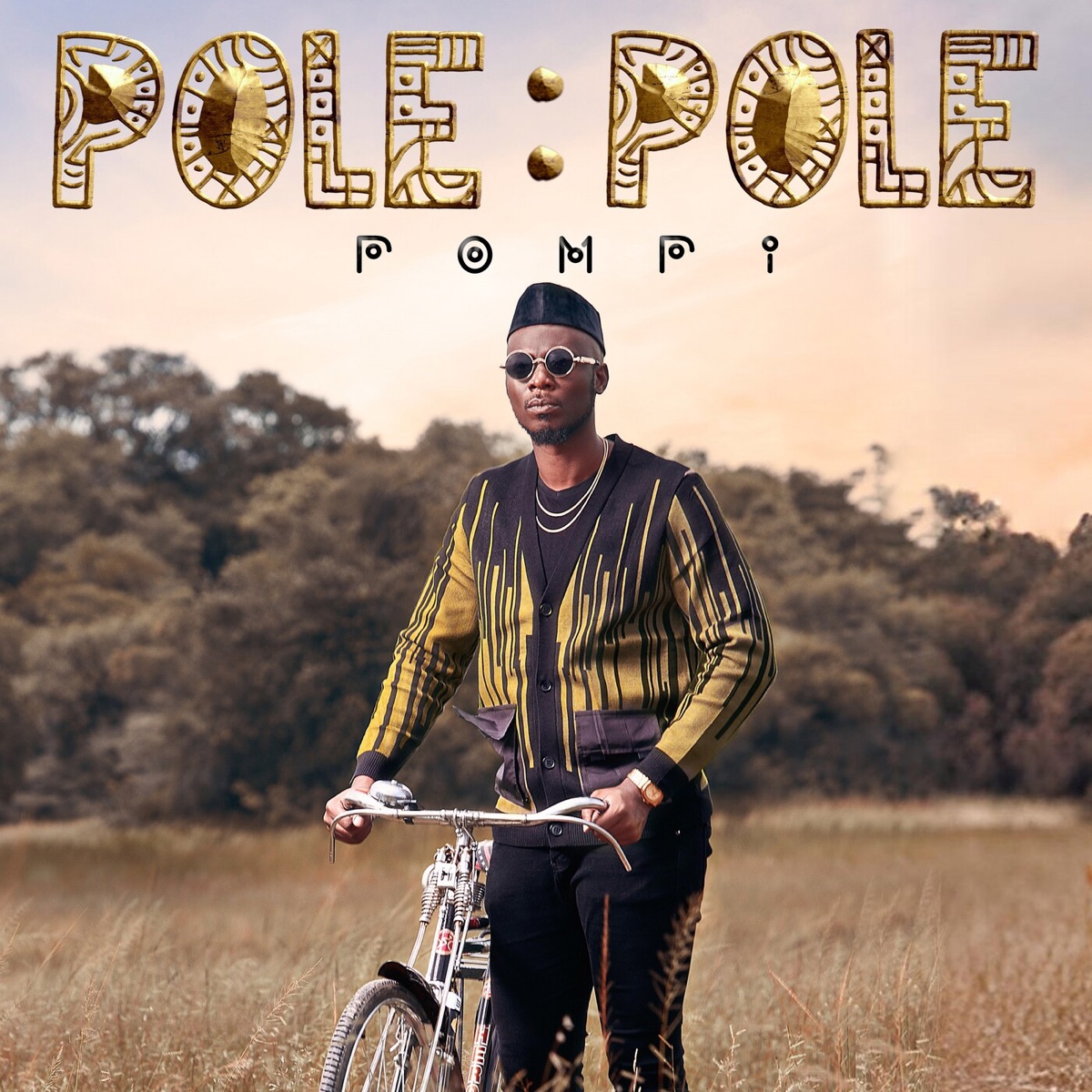 POLE POLE by Pompi album cover