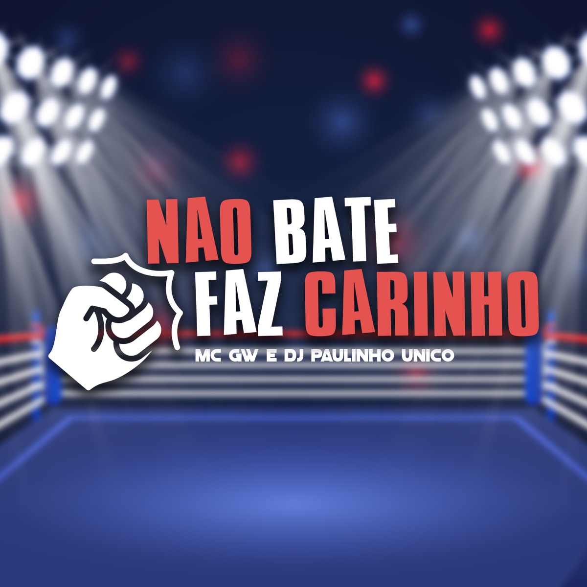 Não Bate, Faz Carinho - Single by MC GW & DJ Paulinho Unico album cover